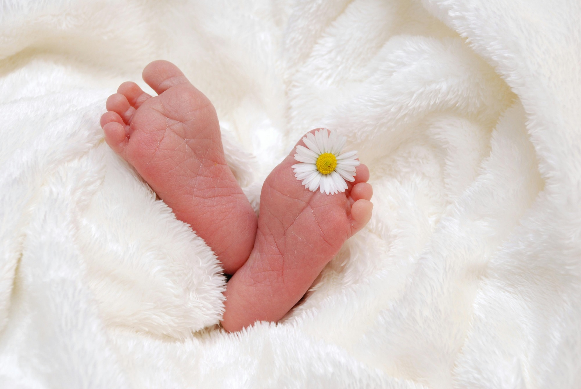 summer newborn essentials