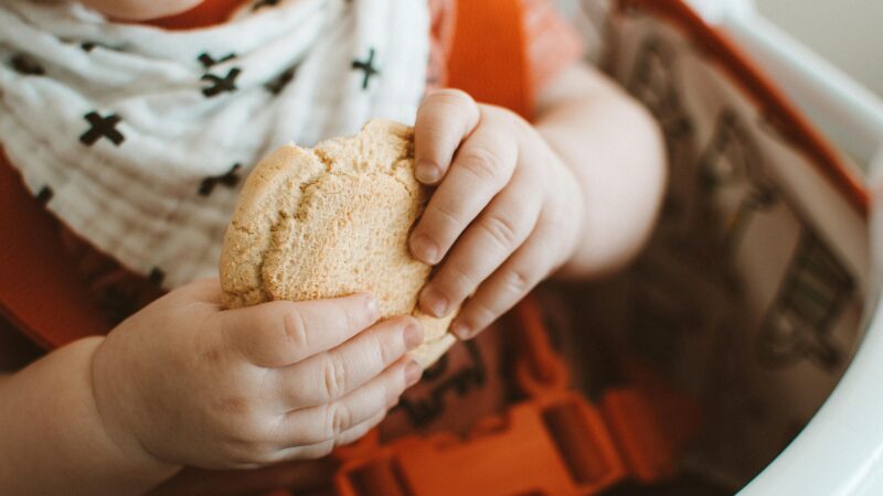 Discover Delicious Baby Led Weaning Recipes for Your Little One