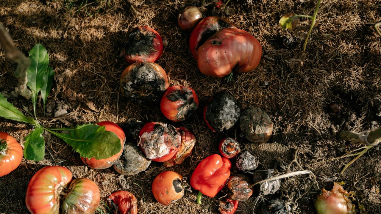 composting