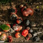 How to Teach Kids About Composting
