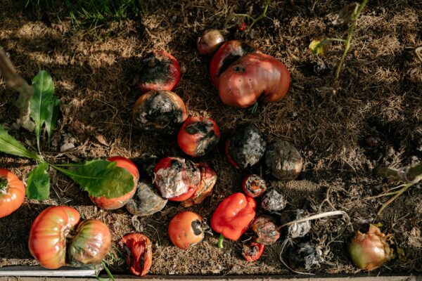 composting